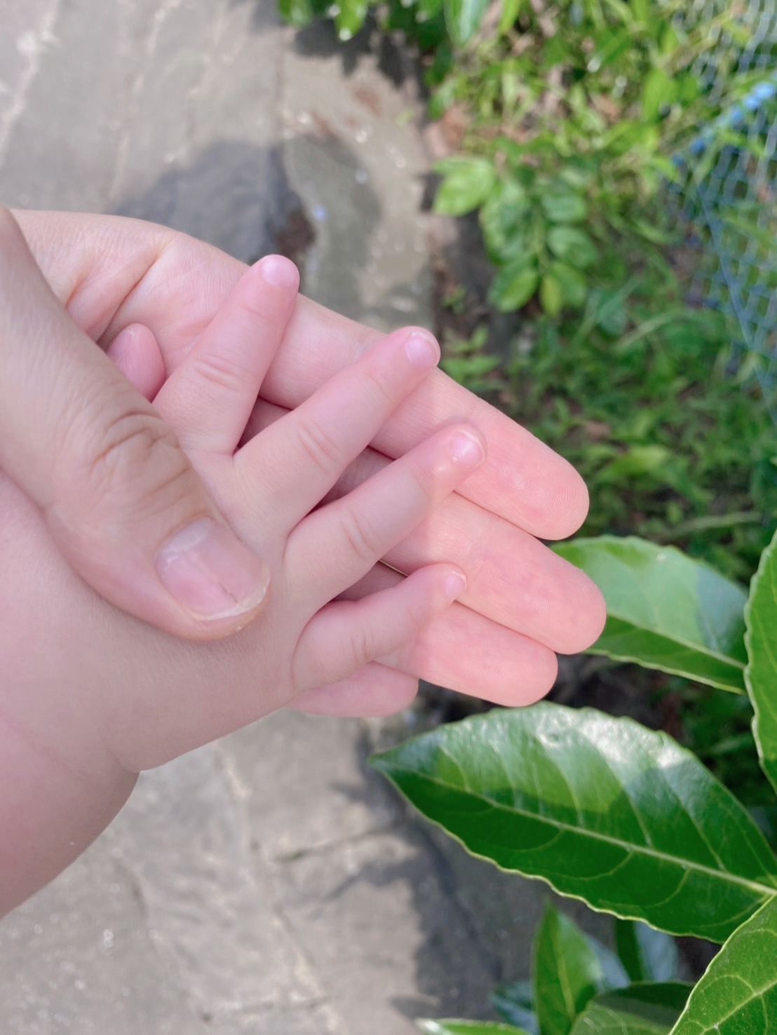 屋外で親が赤ちゃんの小さな手をそっと包む様子。成長の記録の一枚。