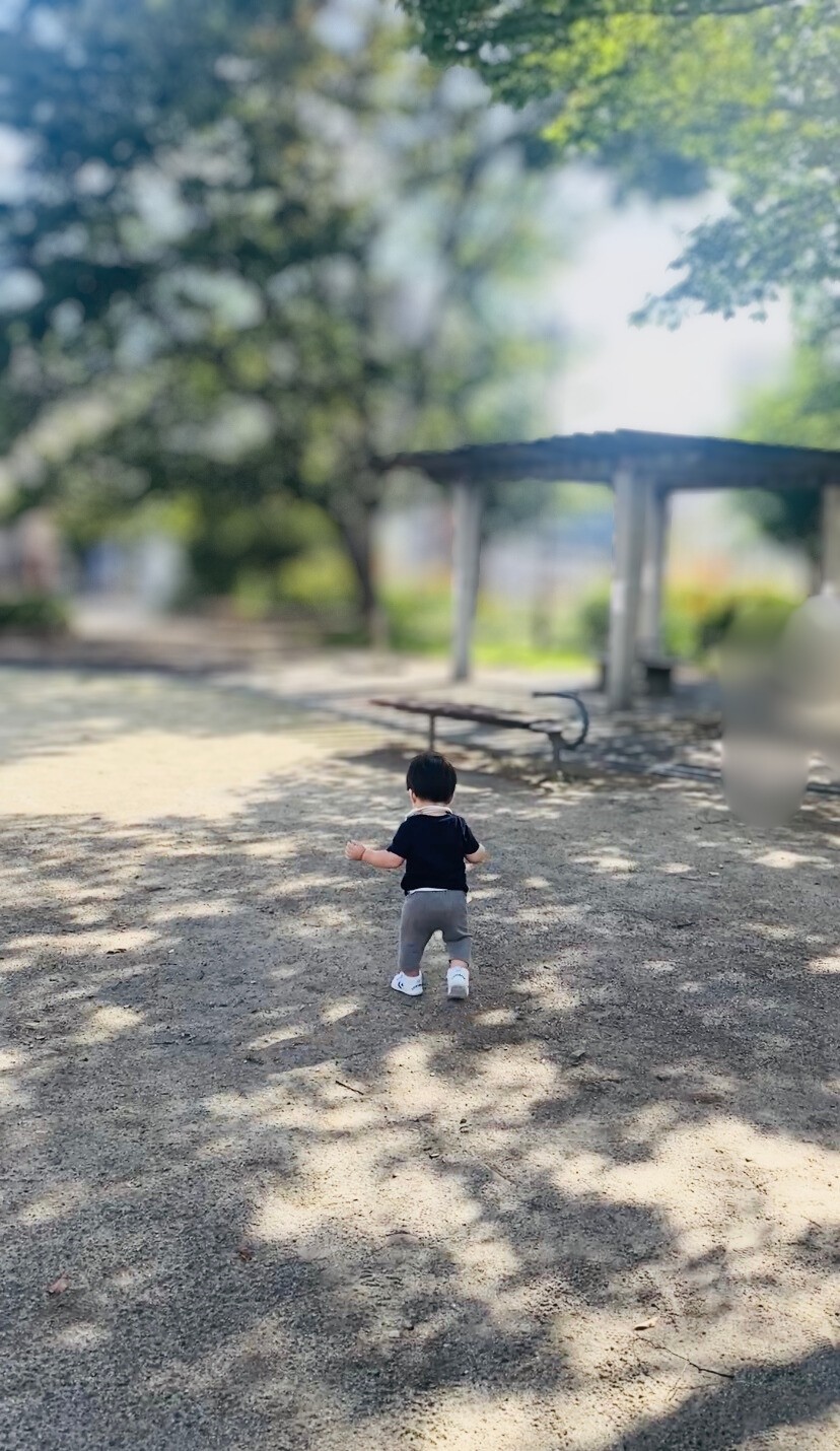 木陰の公園を歩く1歳児の後ろ姿（仕事と育児のリアルを象徴する一枚）